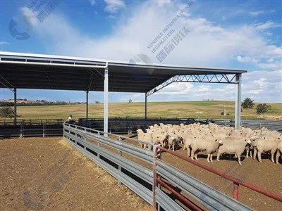 Стоманени овце пронахват сглобяеми овце навес